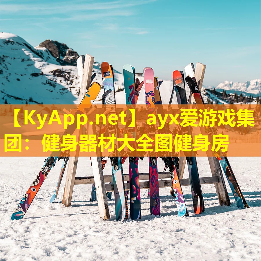 ayx爱游戏集团：健身器材大全图健身房