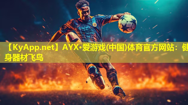 AYX·爱游戏(中国)体育官方网站：健身器材飞鸟