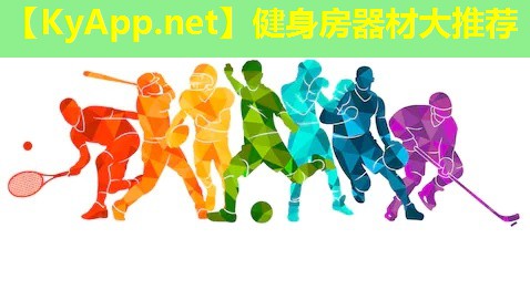健身房器材大推荐