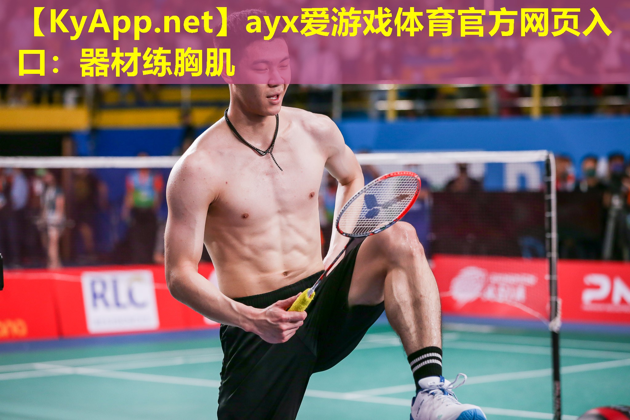 ayx爱游戏体育官方网页入口：器材练胸肌