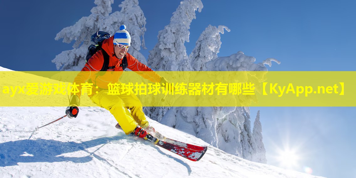 ayx爱游戏体育：篮球拍球训练器材有哪些