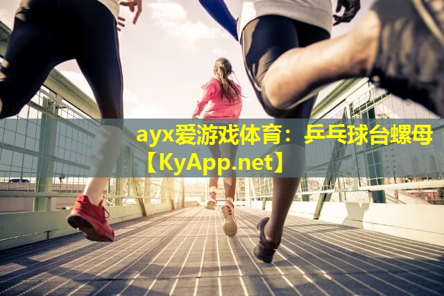 ayx爱游戏体育：乒乓球台螺母