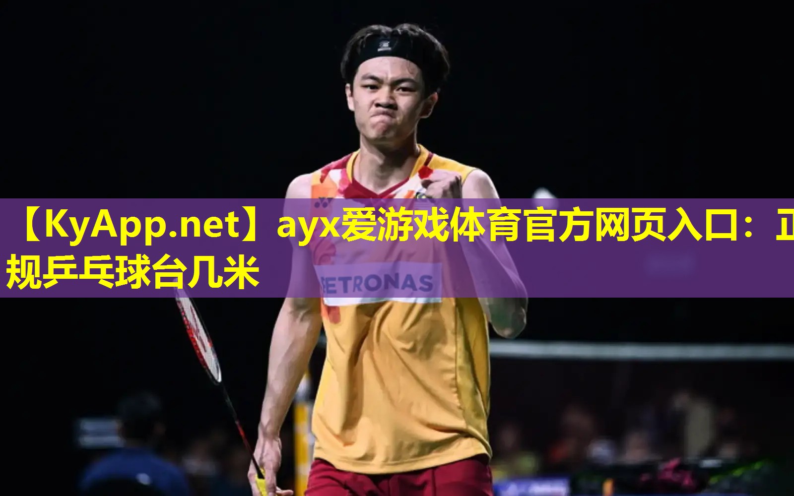 ayx爱游戏体育官方网页入口：正规乒乓球台几米