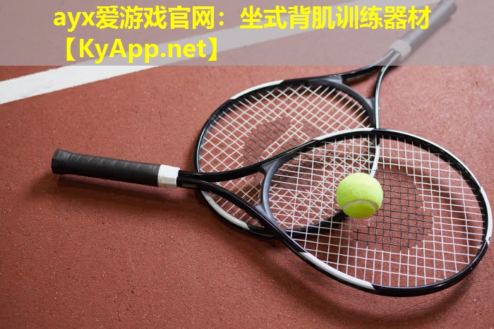 ayx爱游戏官网：坐式背肌训练器材
