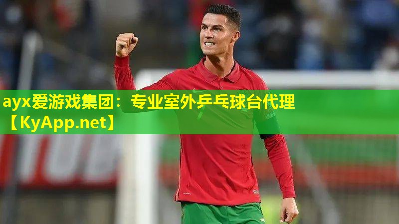 ayx爱游戏集团：专业室外乒乓球台代理