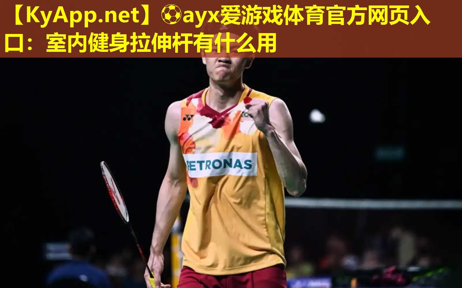 ⚽ayx爱游戏体育官方网页入口：室内健身拉伸杆有什么用