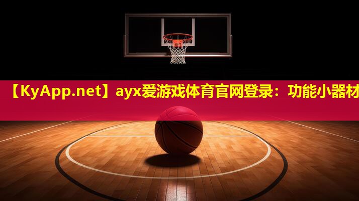 ayx爱游戏体育官网登录：功能小器材