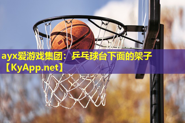ayx爱游戏集团：乒乓球台下面的架子