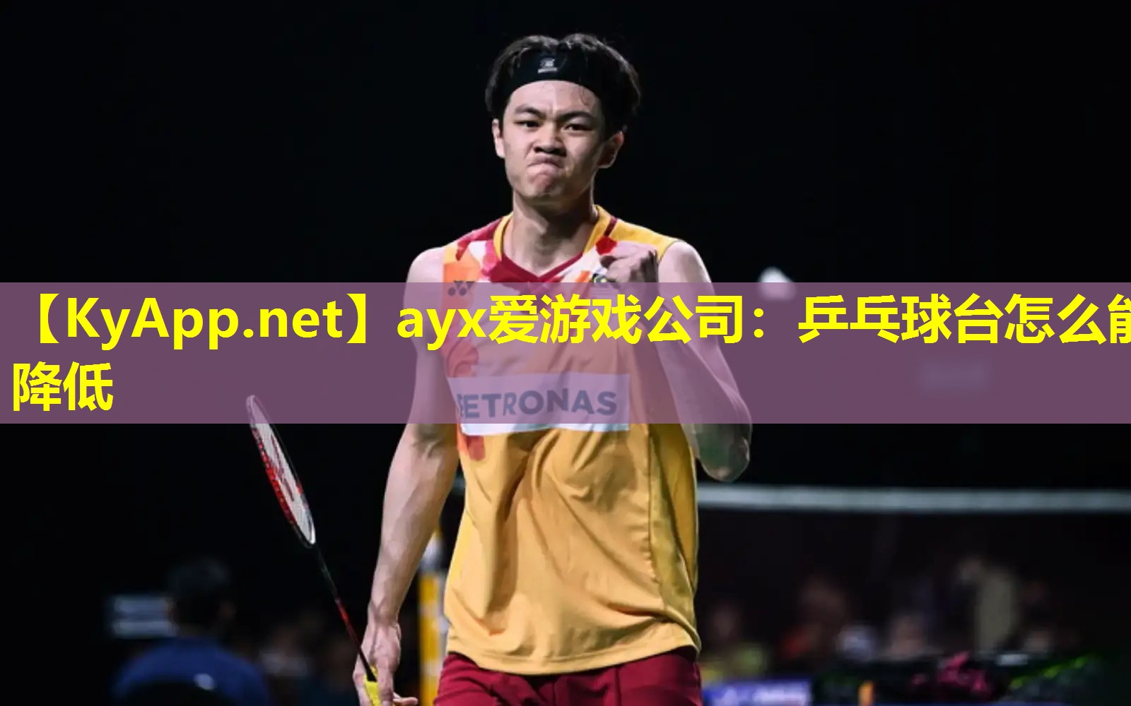 ayx爱游戏公司：乒乓球台怎么能降低