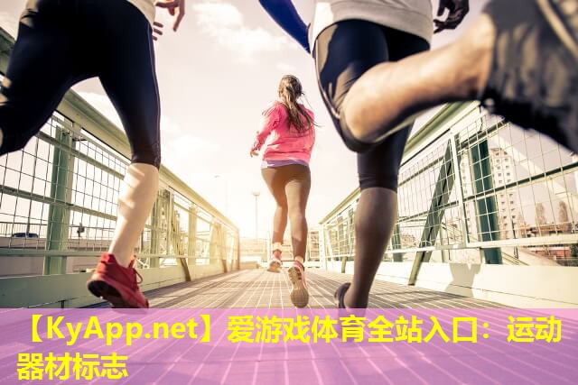 爱游戏体育全站入口：运动器材标志
