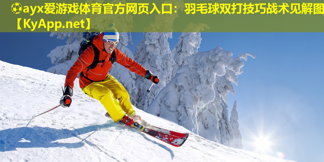 ⚽ayx爱游戏体育官方网页入口：羽毛球双打技巧战术见解图