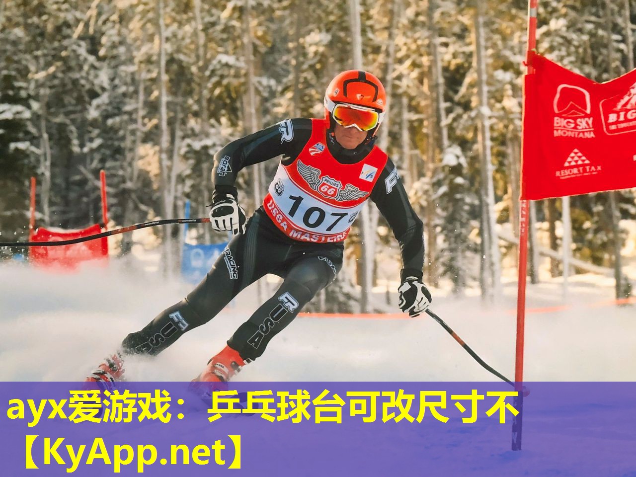 乒乓球台可改尺寸不