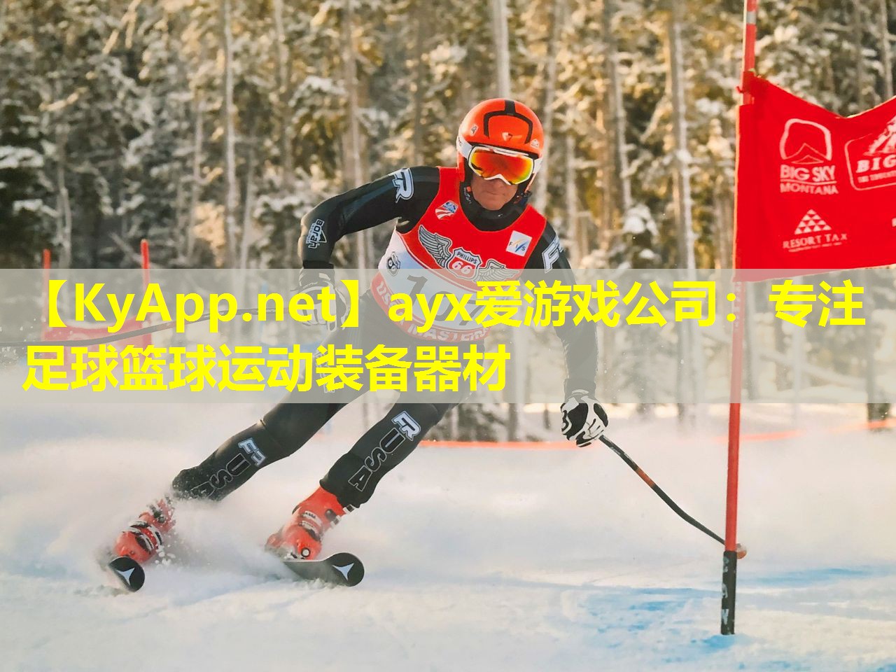 专注足球篮球运动装备器材