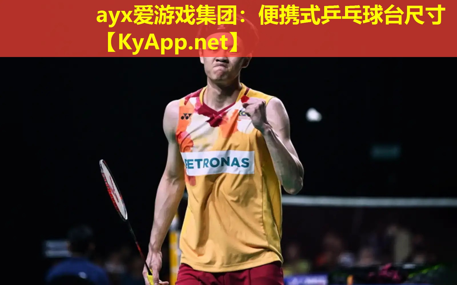便携式乒乓球台尺寸