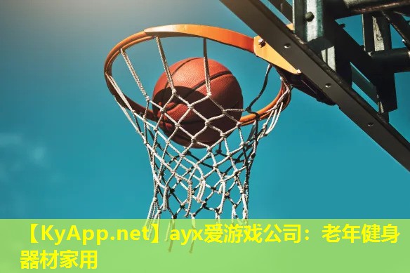 老年健身器材家用