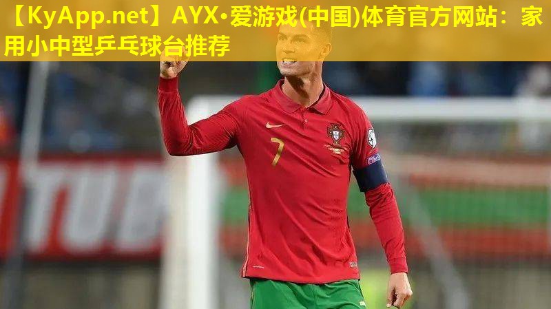 家用小中型乒乓球台推荐