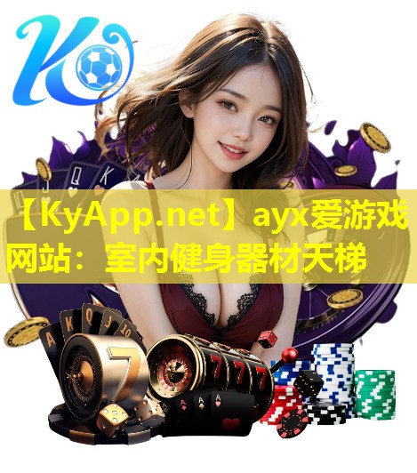 室内健身器材天梯