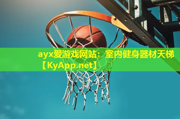 室内健身器材天梯