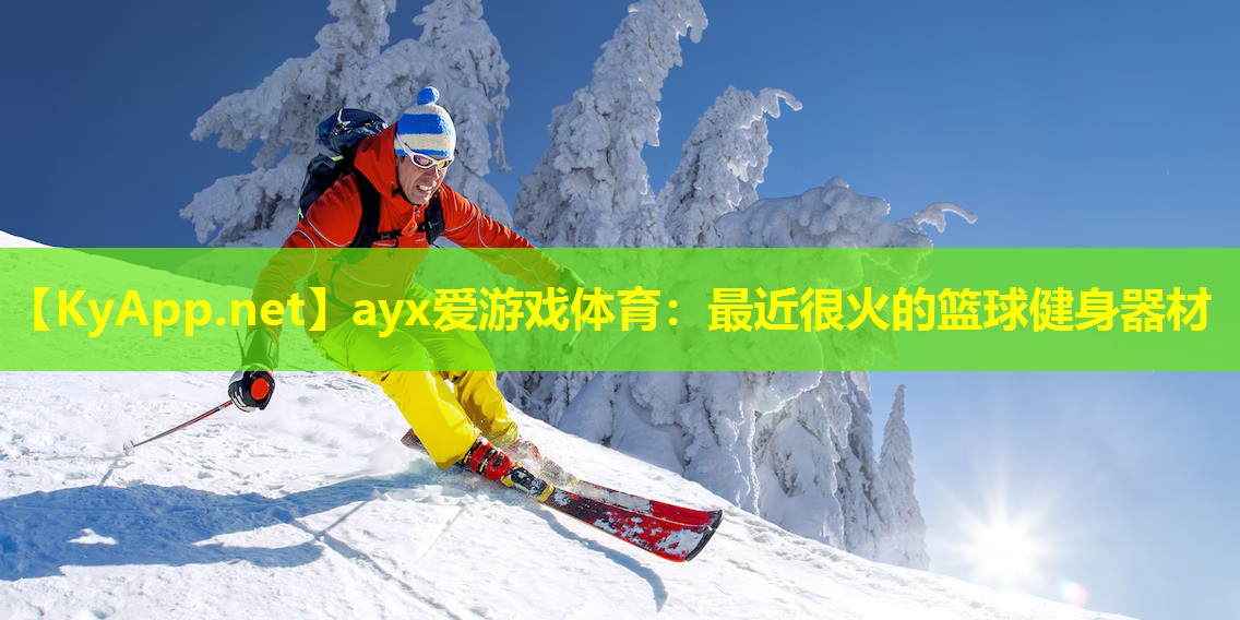 最近很火的篮球健身器材