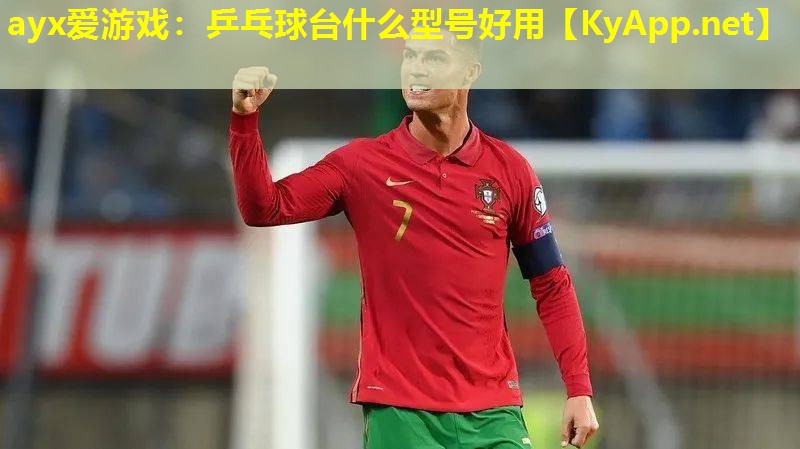 乒乓球台什么型号好用