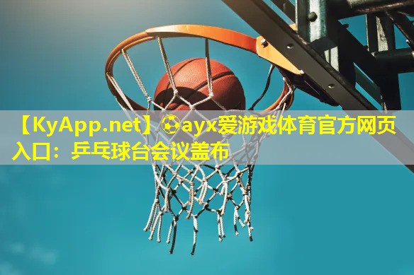乒乓球台会议盖布