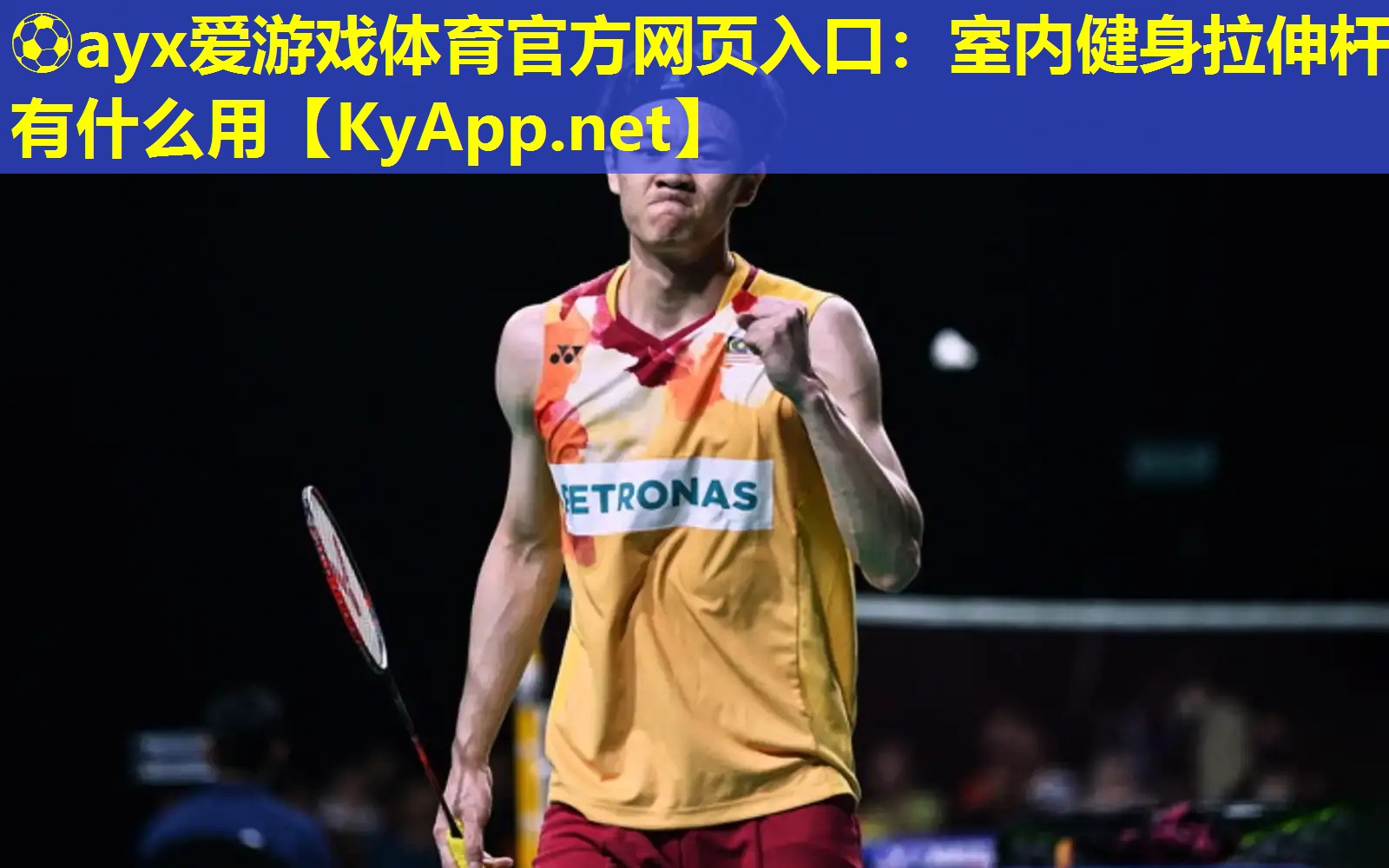 室内健身拉伸杆有什么用
