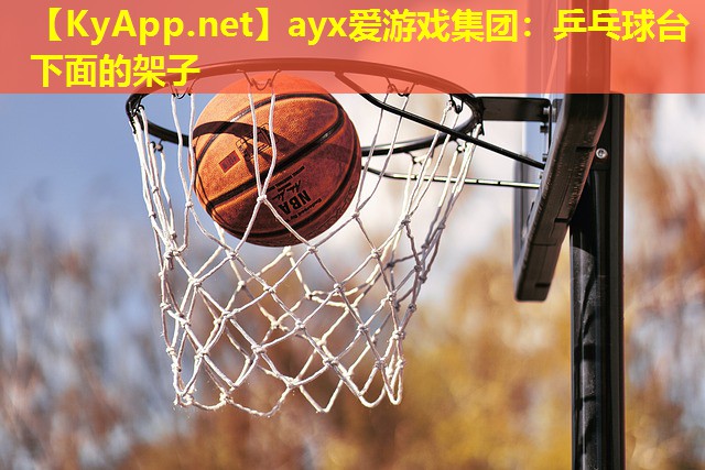 乒乓球台下面的架子