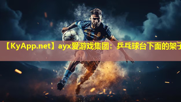 乒乓球台下面的架子