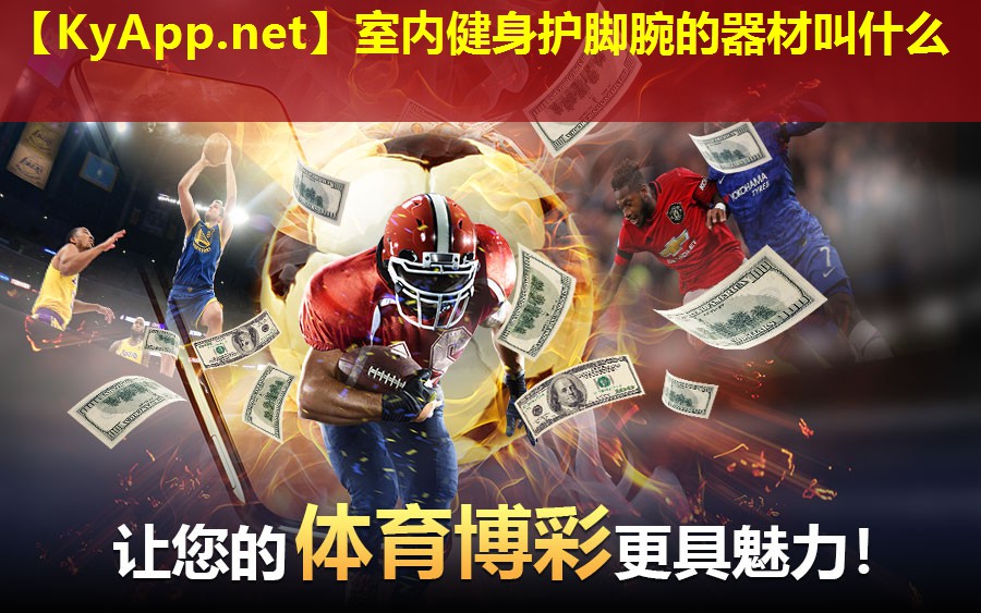 室内健身护脚腕的器材叫什么