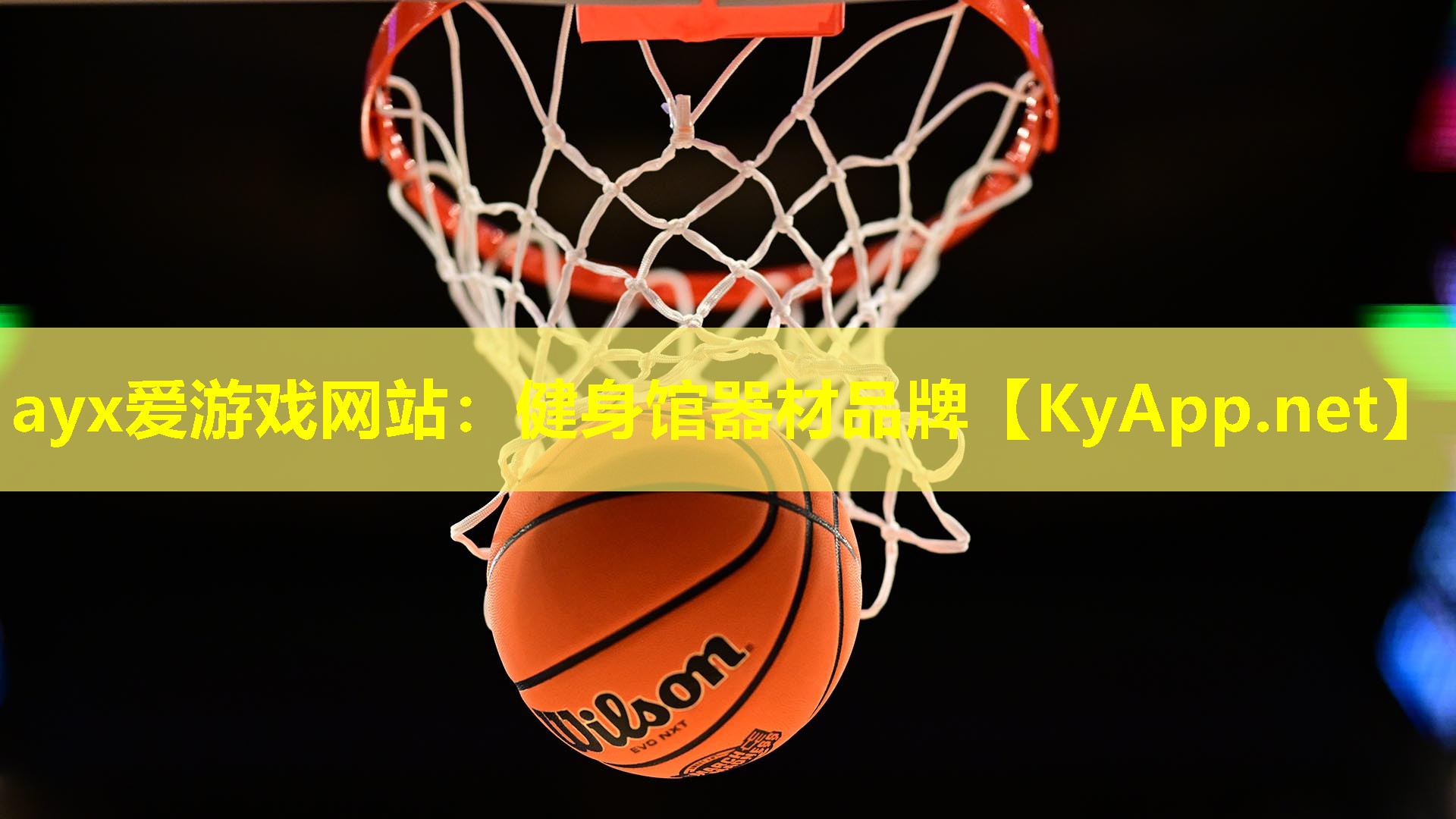 健身馆器材品牌