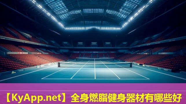 全身燃脂健身器材有哪些好