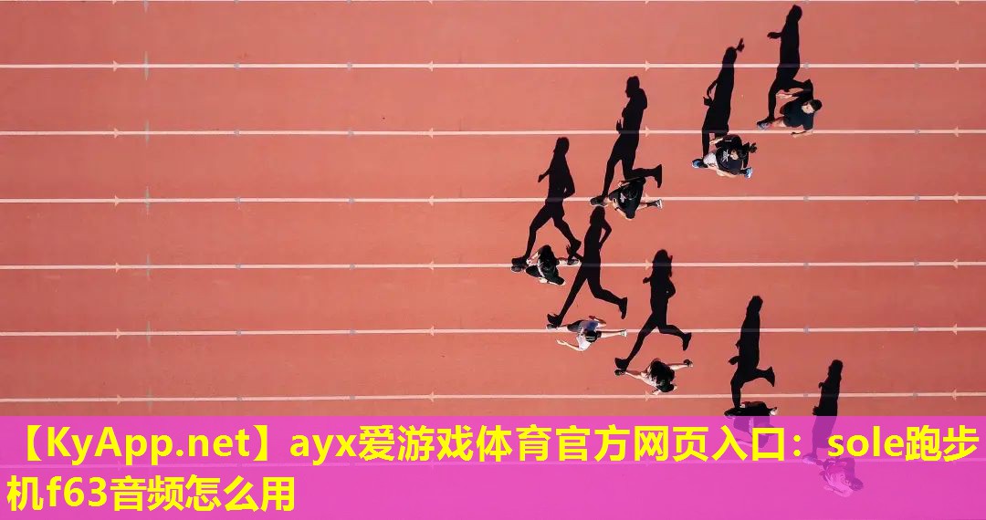 sole跑步机f63音频怎么用