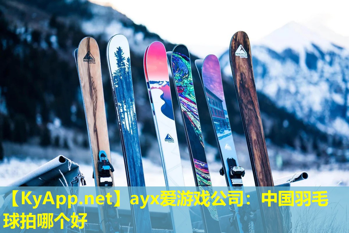 中国羽毛球拍哪个好