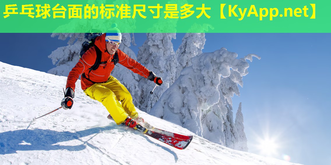 乒乓球台面的标准尺寸是多大