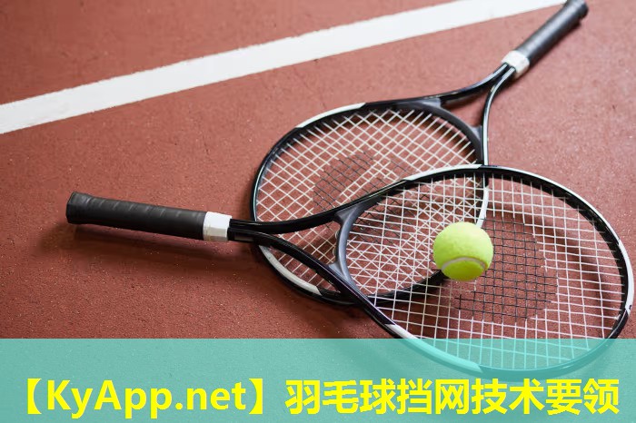 羽毛球挡网技术要领