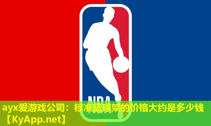 标准篮球架的价格大约是多少钱