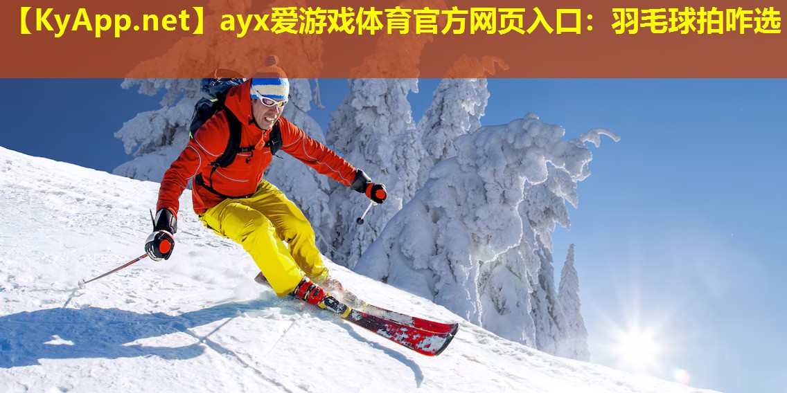 羽毛球拍咋选