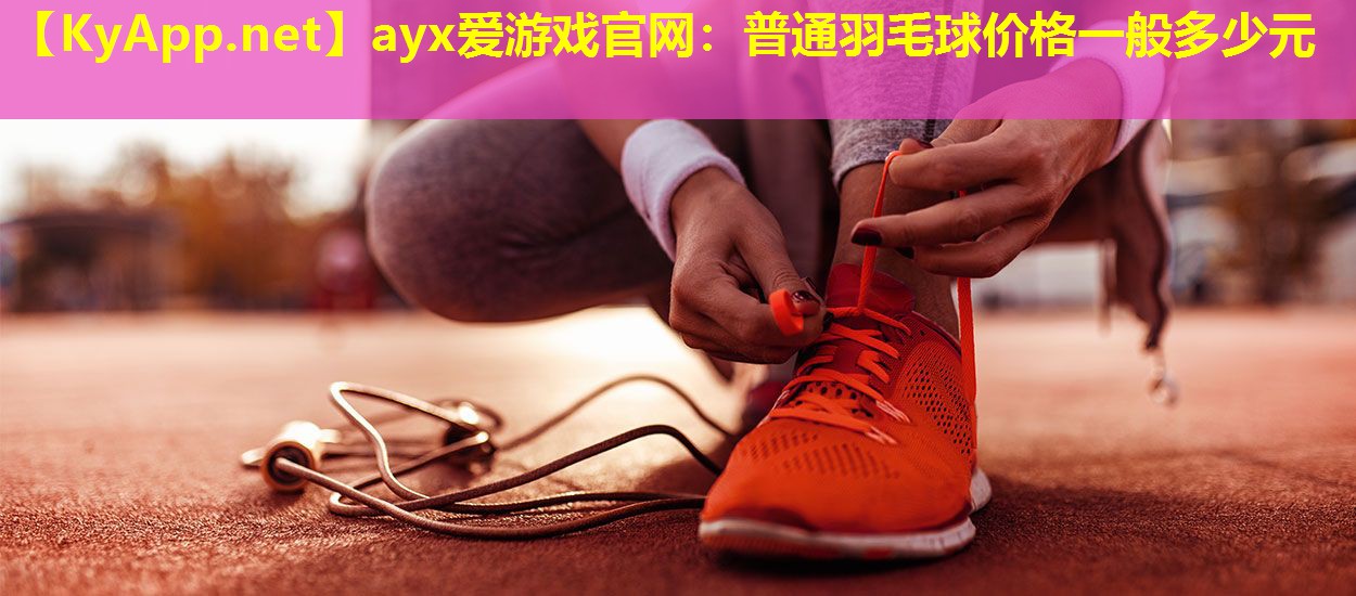 普通羽毛球价格一般多少元